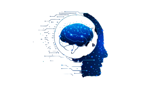 Machine Learning Dashboard